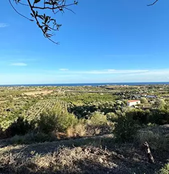 Foto annuncio 17
