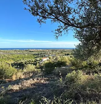 Foto annuncio 18