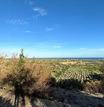 Foto annuncio 20
