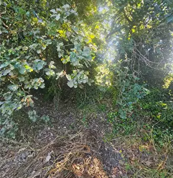 Foto annuncio 6