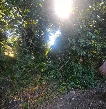 Foto annuncio 7
