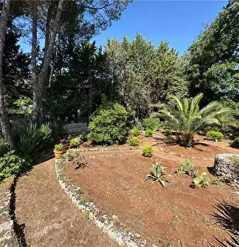 Foto annuncio 19