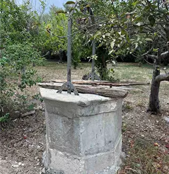 Foto annuncio 8