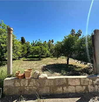 Foto annuncio 9