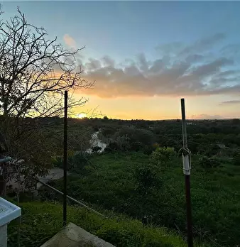 Foto annuncio 13