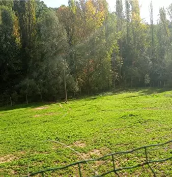Foto annuncio 7