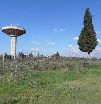 Foto annuncio 6