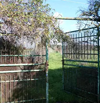 Foto annuncio 8