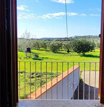 Foto annuncio 19