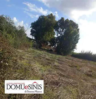 Foto annuncio 6