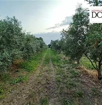 Foto annuncio 13