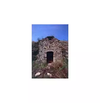 Foto annuncio 7