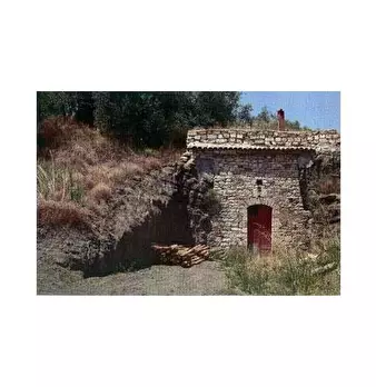 Foto annuncio 8