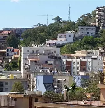 Foto annuncio 17