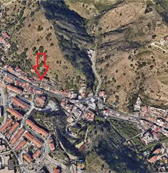 Foto annuncio 29