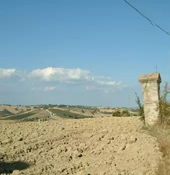 Foto annuncio 7