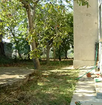 Foto annuncio 8