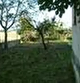 Foto annuncio 15