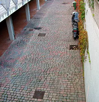 Foto annuncio 12