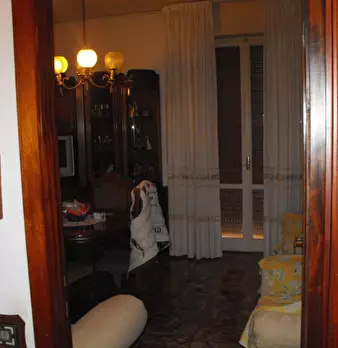 Foto annuncio 11