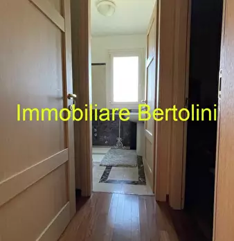 Foto annuncio 19