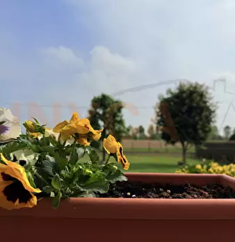 Foto annuncio 34