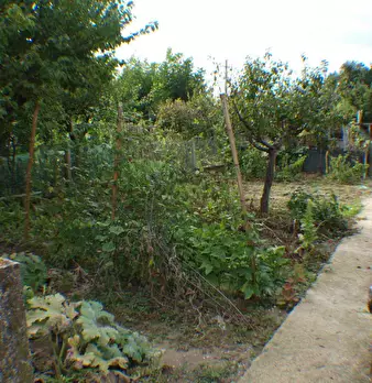 Foto annuncio 20