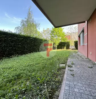 Foto annuncio 11