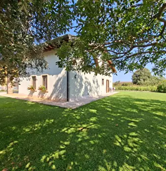 Foto annuncio 10