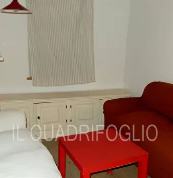 Foto annuncio 12