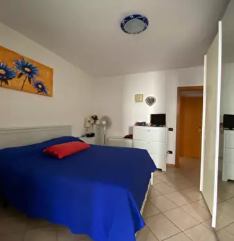 Foto annuncio 7