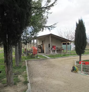 Foto annuncio 20