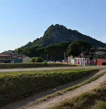 Foto annuncio 5