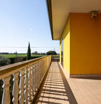 Foto annuncio 38