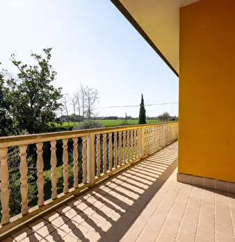 Foto annuncio 39