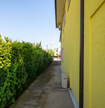 Foto annuncio 62