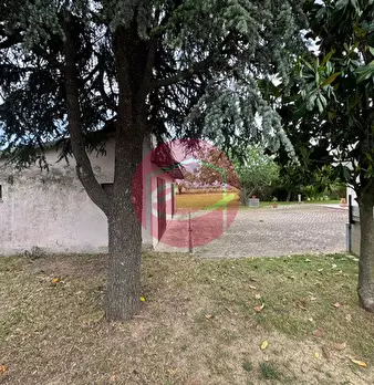 Foto annuncio 18