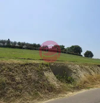 Foto annuncio 6