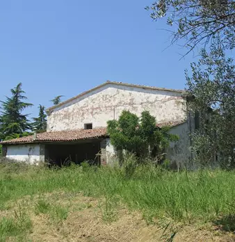 Foto annuncio 6