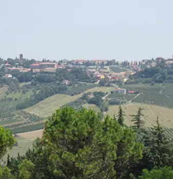 Foto annuncio 11