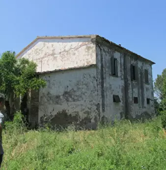 Foto annuncio 12