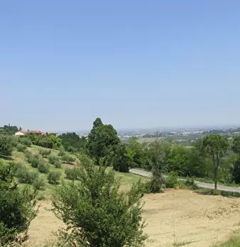 Foto annuncio 25