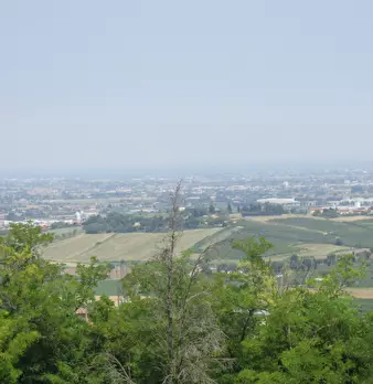 Foto annuncio 26