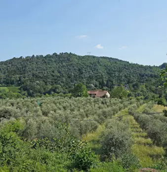 Foto annuncio 2