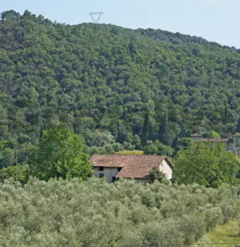 Foto annuncio 3
