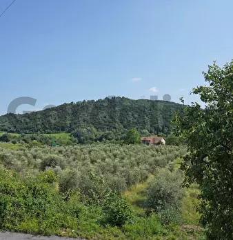 Foto annuncio 4