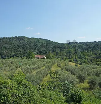 Foto annuncio 6