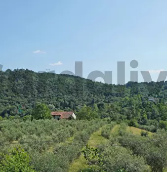 Foto annuncio 7