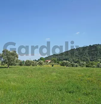 Foto annuncio 8