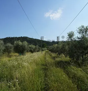 Foto annuncio 9